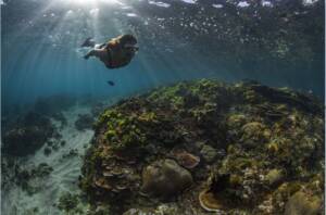 © Norfolk Island Tourism - Snorkelling